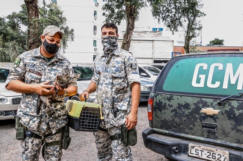 Leia mais sobre o artigo Filhote de Cachorro-do-Mato é resgatado pelo Gepam