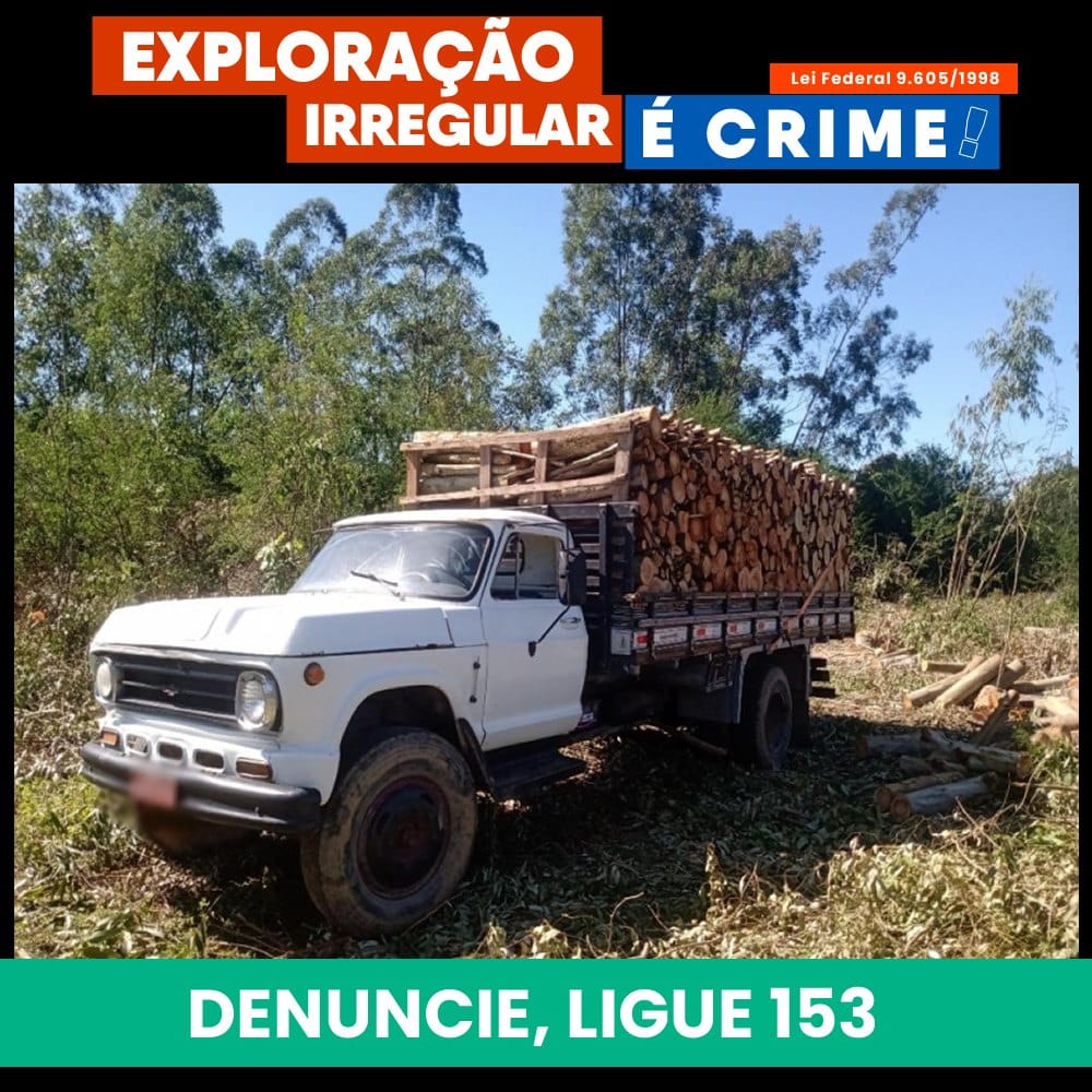 Leia mais sobre o artigo Gepam informa que a exploração irregular de Areia, Areola, Madeira é CRIME!